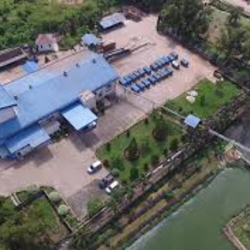 GIREAT GIANT PINAPLE FACTORY, LAMPUNG GIREAT GIANT PINAPLE FACTORY, LAMPUNG